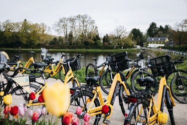 Location VAE avec Brocéliande Bike à Paimpont